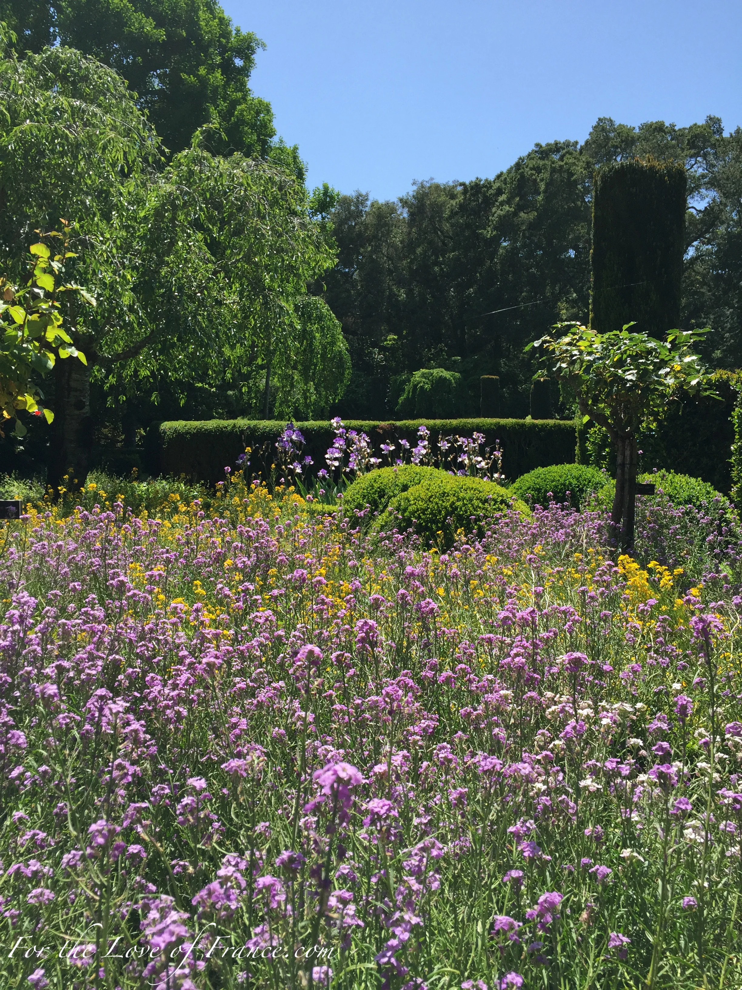 Landscape Flowers Hedges