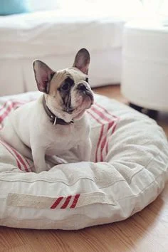 Pet Bed from Vintage Linen