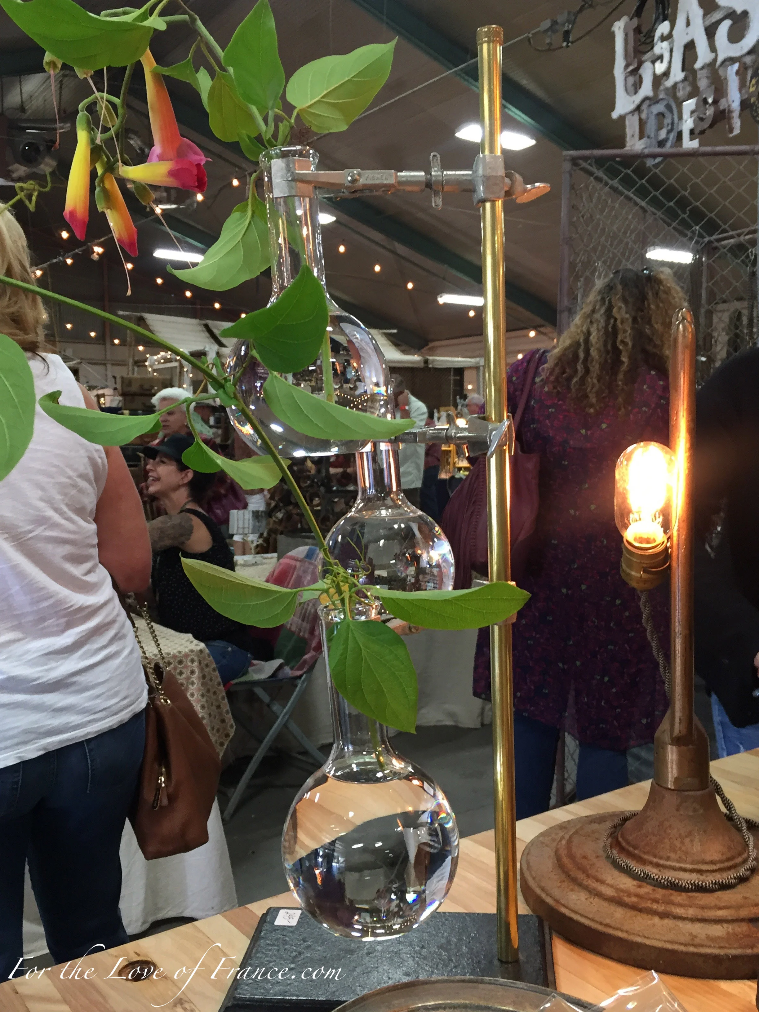 Vintage brass stand with beakers holding plant cuttings