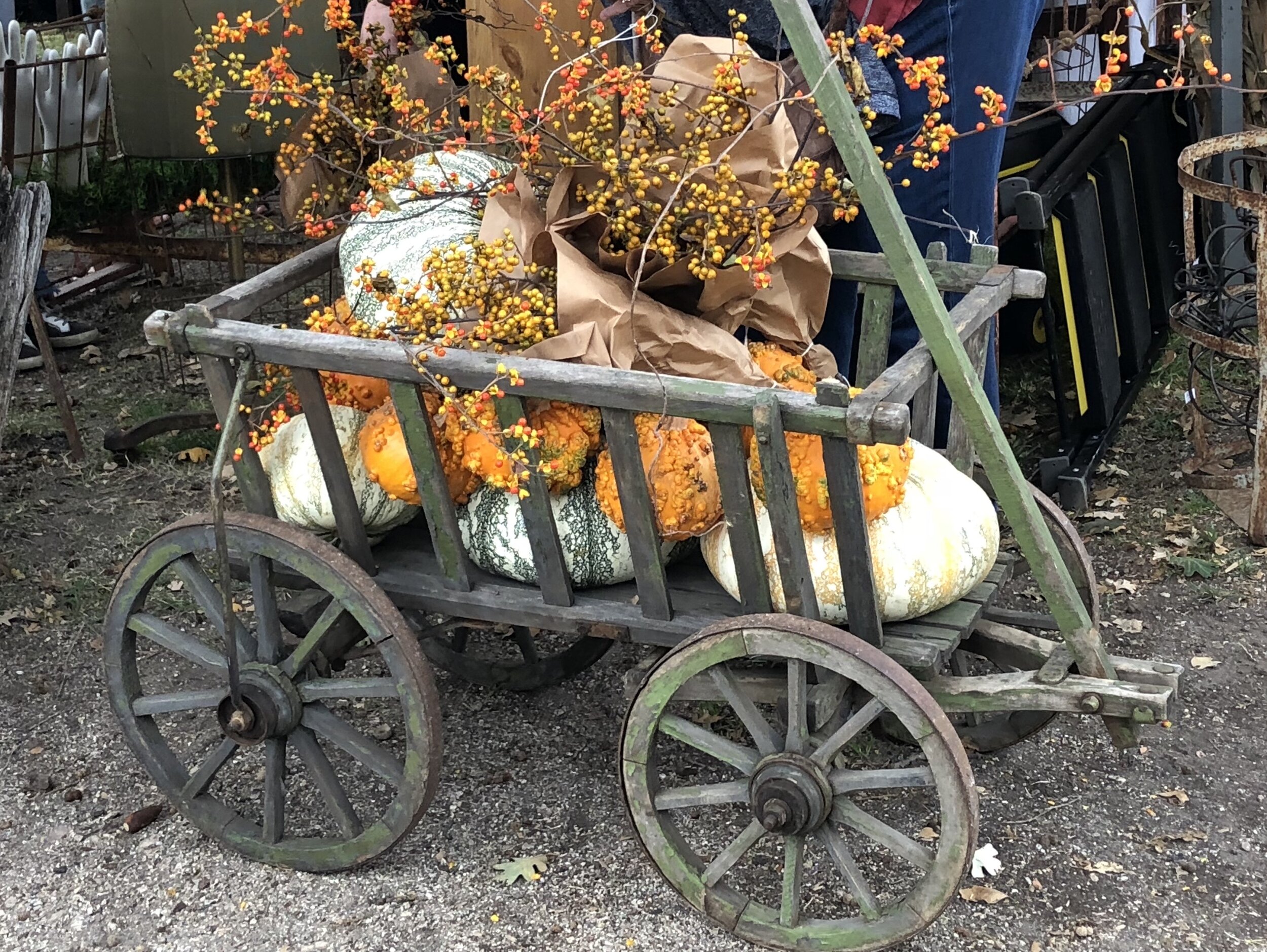 Goat Cart Filled with Pumpkins and Autumn Decor (Copy)