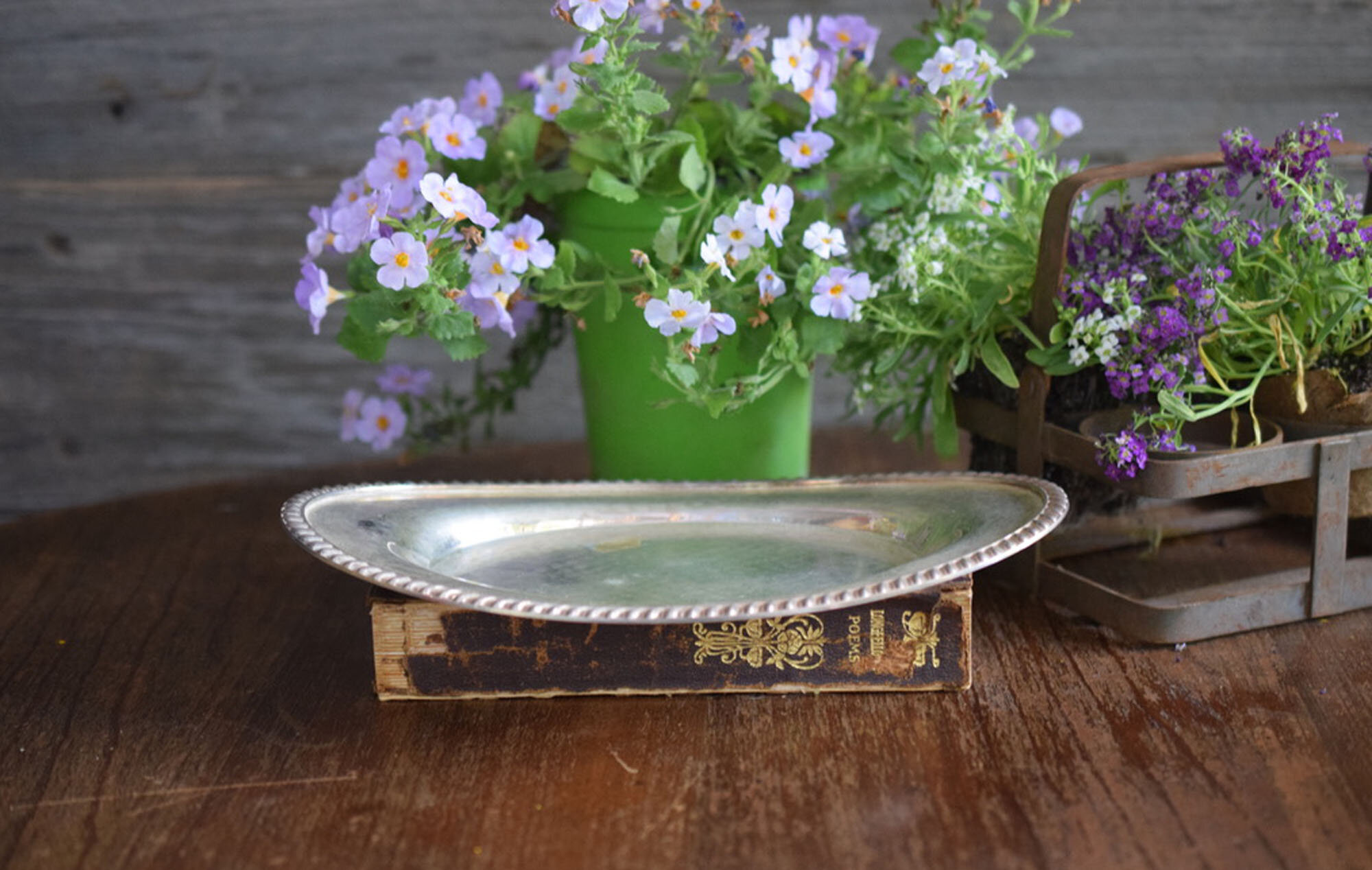 Small Vintage Silverplate on Brass Tray French Country Farmhouse Decor —  French Antiques Vintage French Decor French Linens Cafe au Lait Bowls and  more