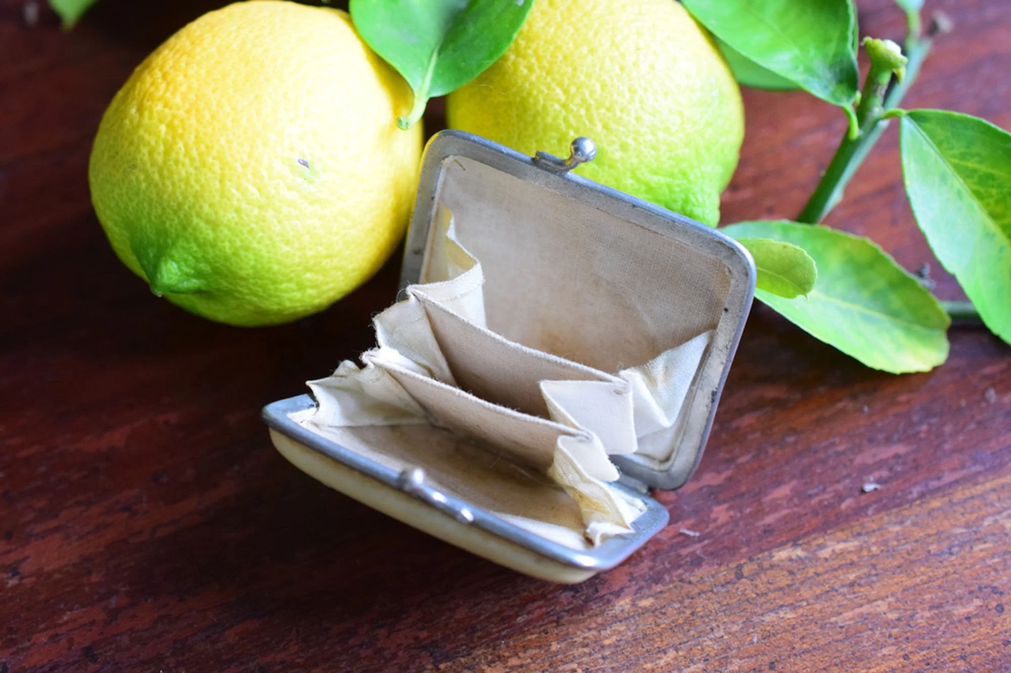 Early 1900's Antique French Celluloid Coin Purse