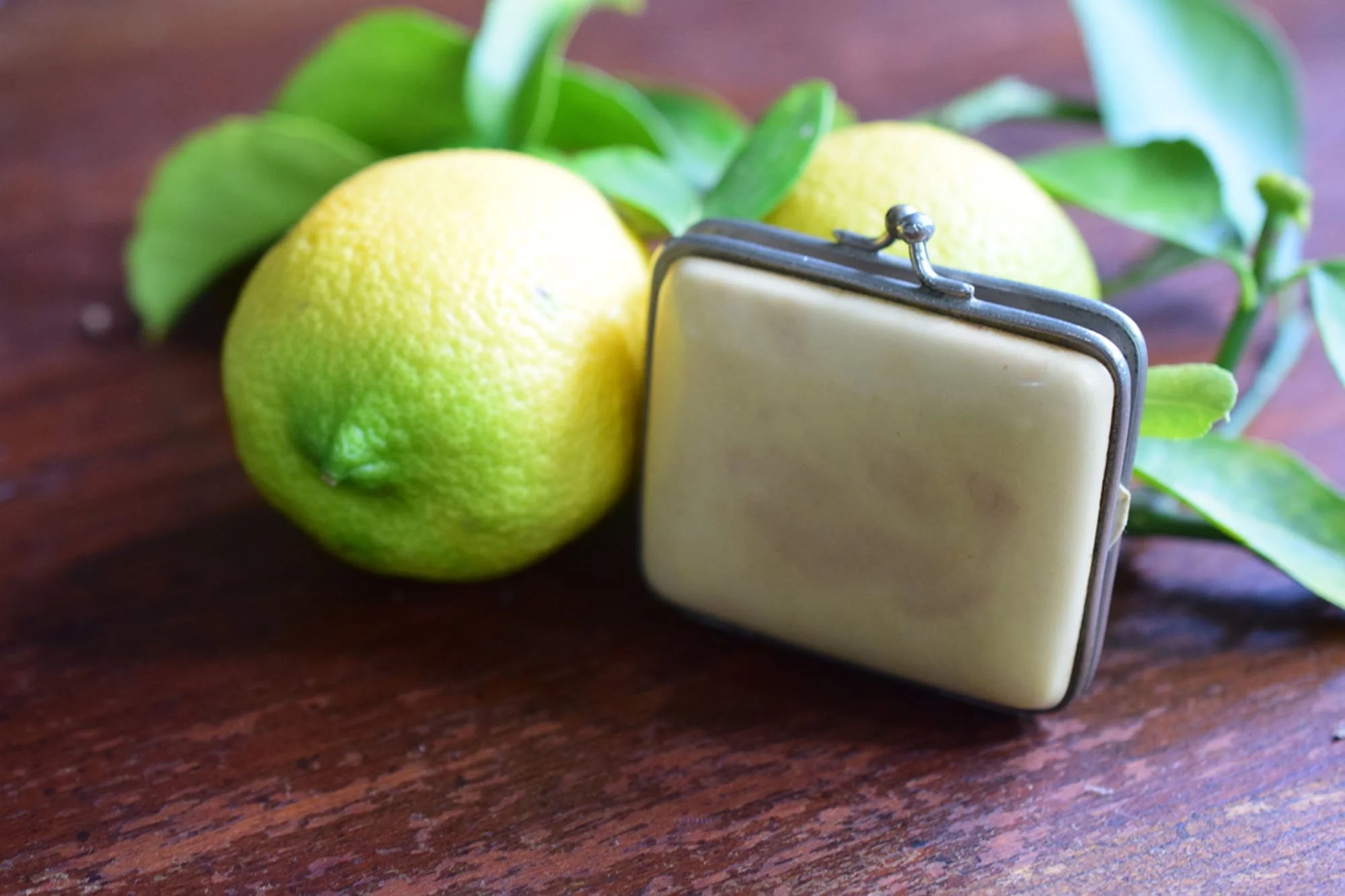 Early 1900's Antique French Celluloid Coin Purse