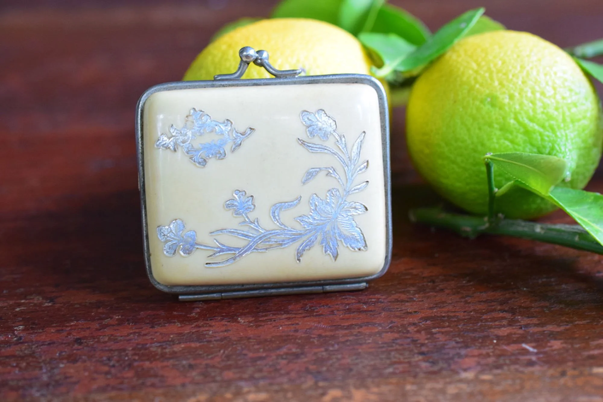 Early 1900's Antique French Celluloid Coin Purse