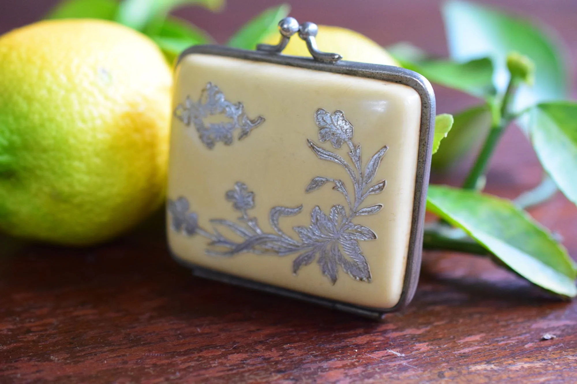 Early 1900's Antique French Celluloid Coin Purse