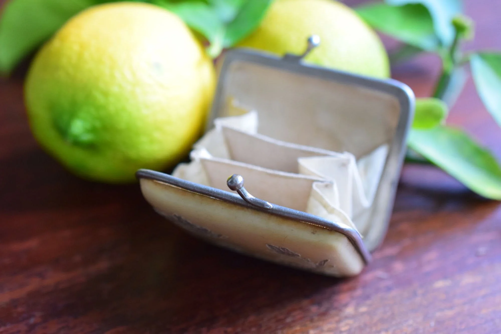 Early 1900's Antique French Celluloid Coin Purse