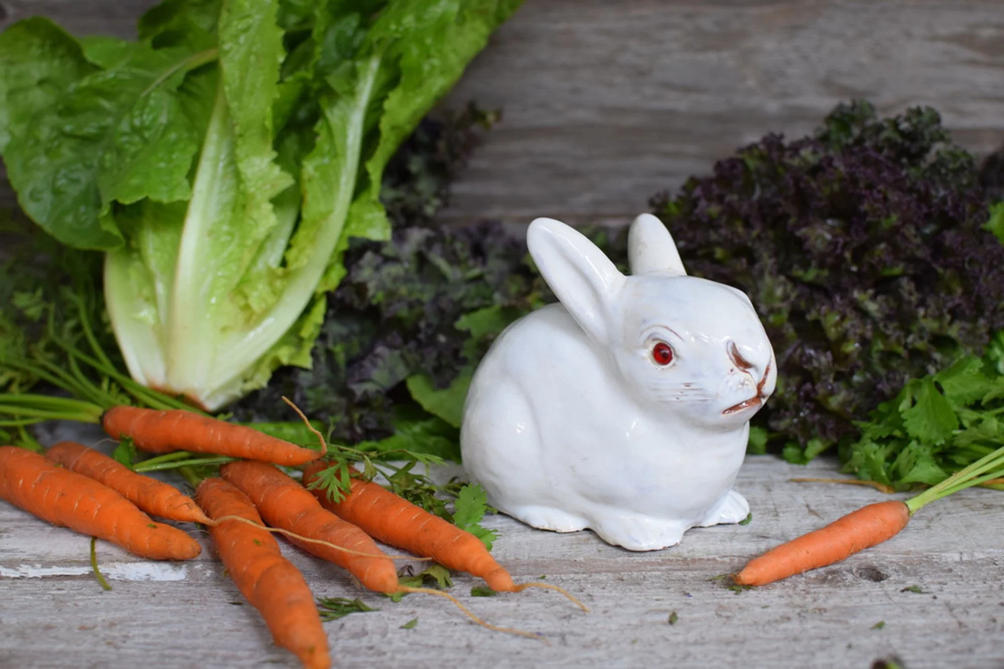 Antique Bavent Faience White Rabbit