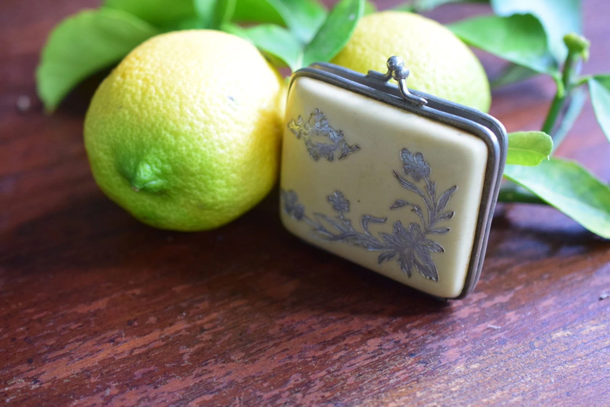 Early 1900's Antique French Celluloid Coin Purse