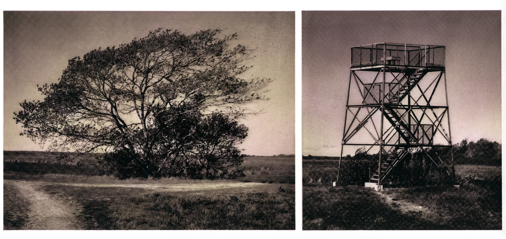 the_refuge copy 3.jpg