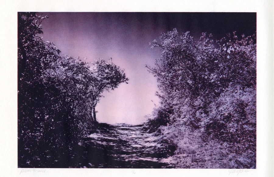 plum_island copy 2.jpg