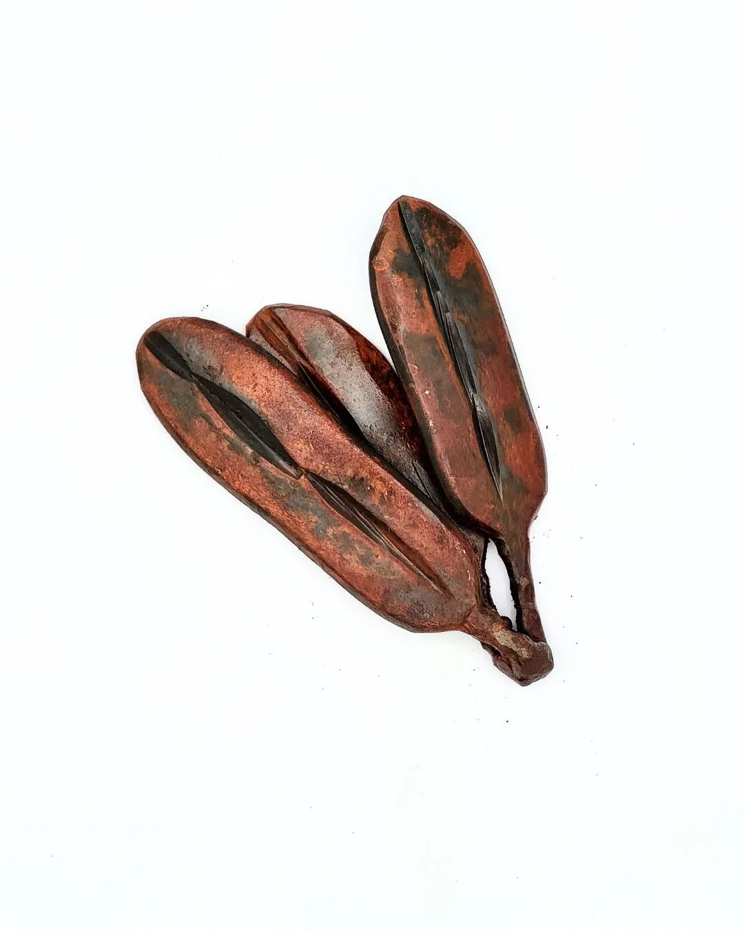 fallen foliage aged 3 layered.jpg