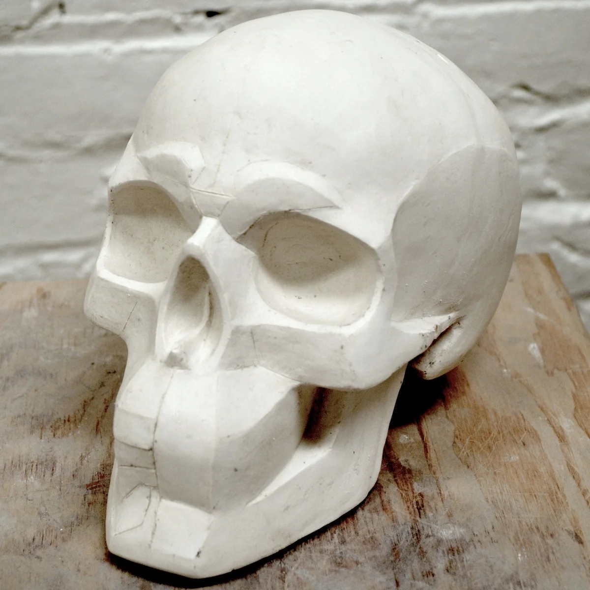 planes+of+the+skull+cast.jpg