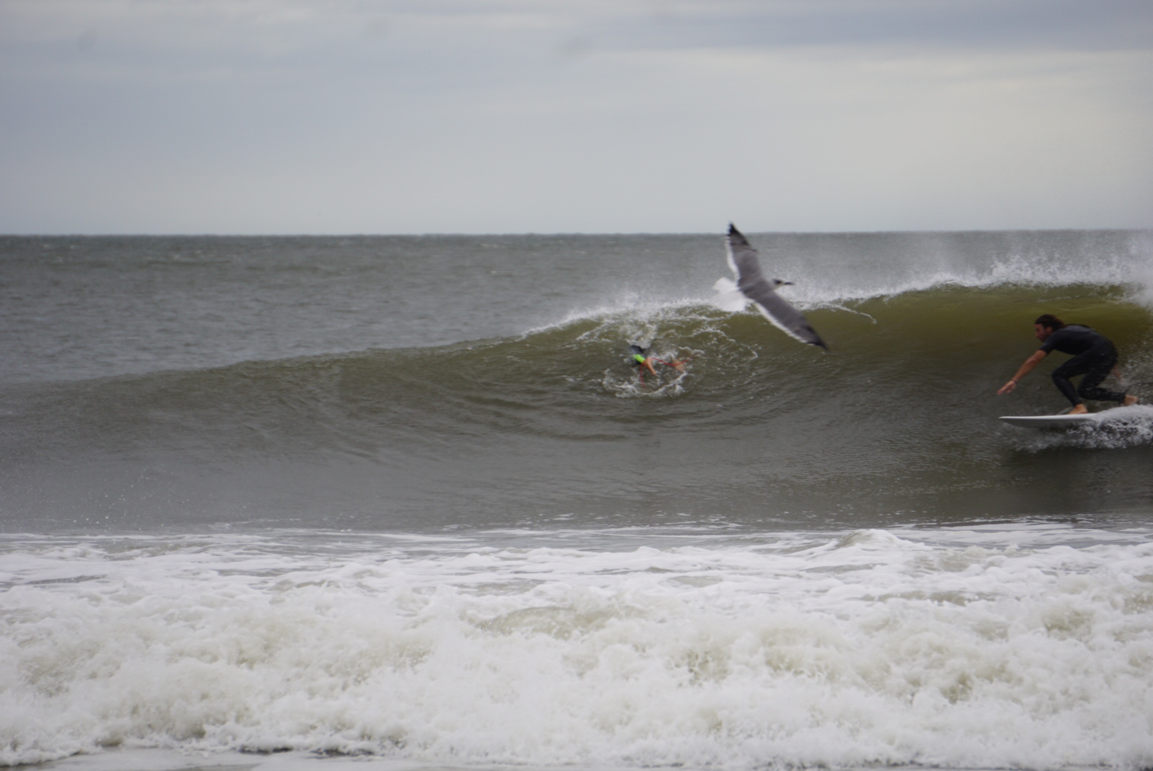Johnny Knapp in the pocket with duckdiver and seagull, Hermine Day 3. 