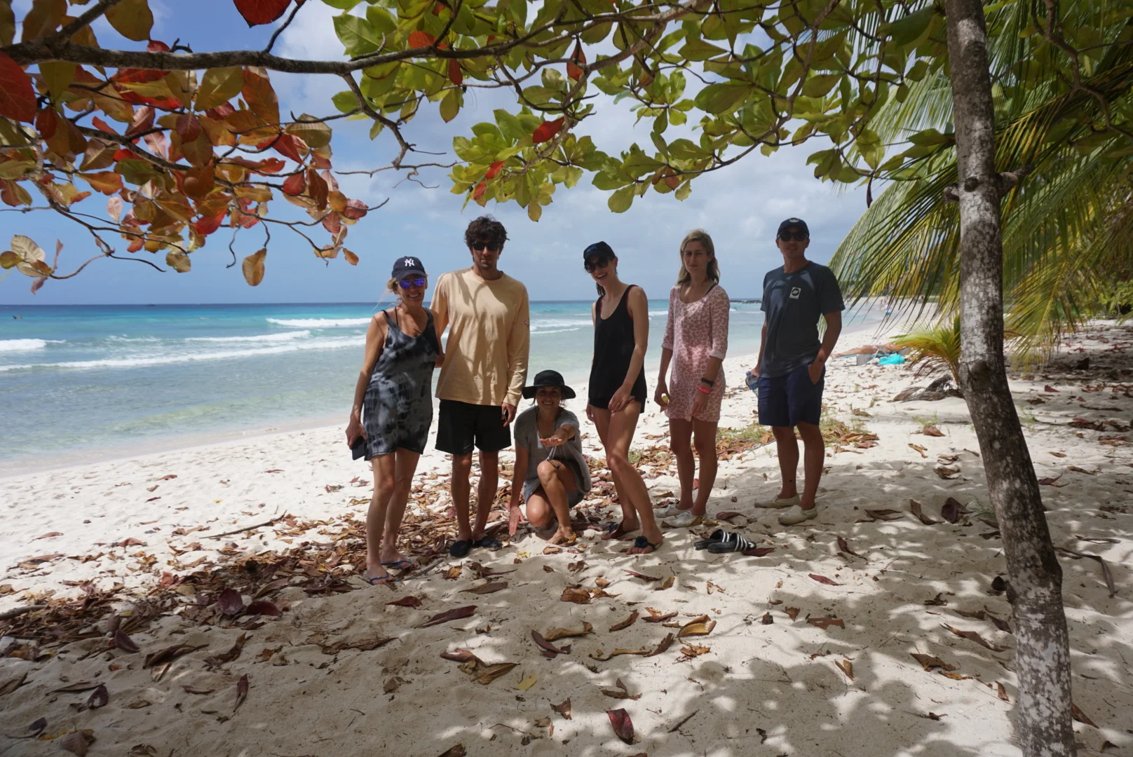 Jo Becker, Juan Heredia, Catee Lalonde, Kim Corchia, Mariza Daras, and Dion Mattison. Pic: Christina Nizar
