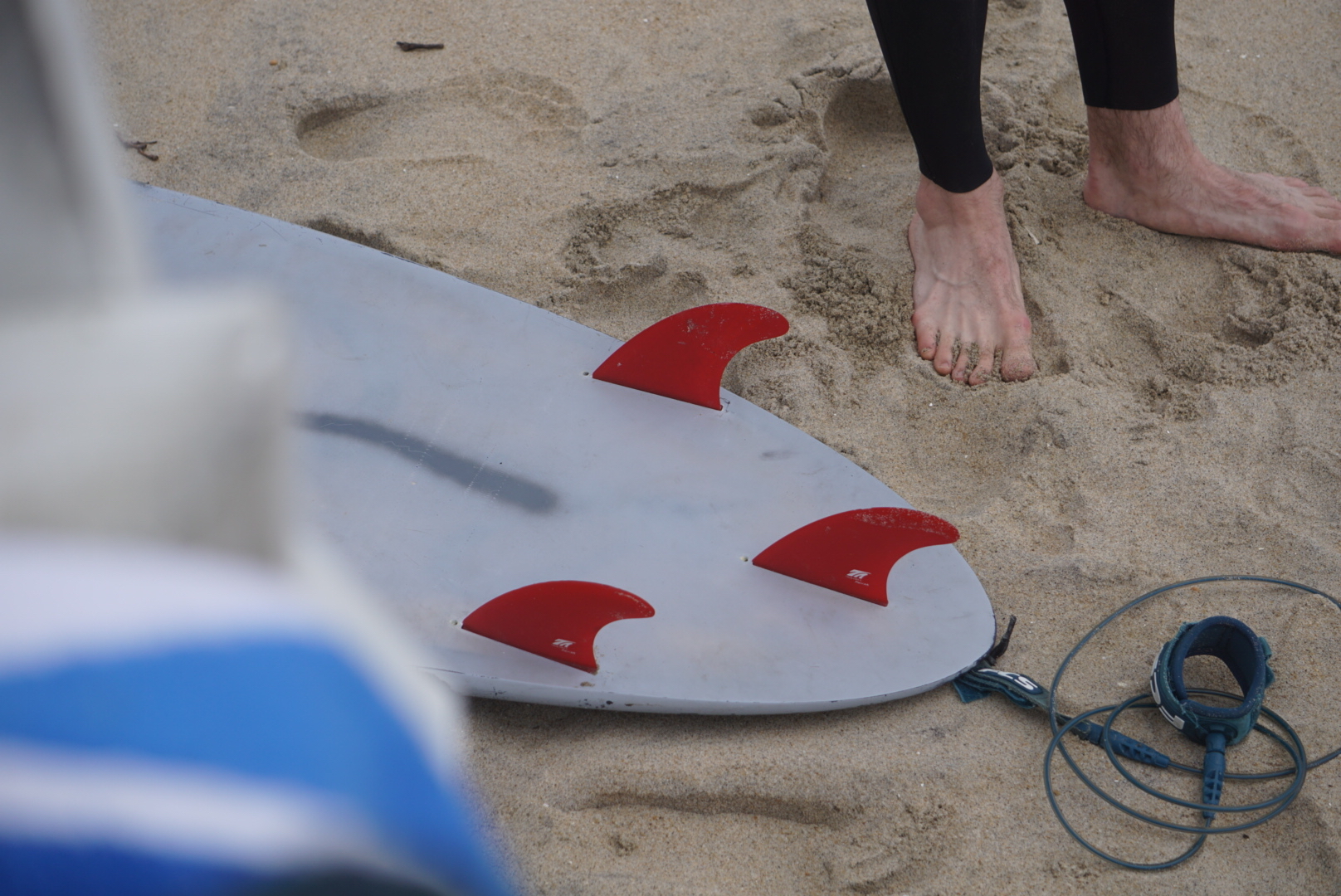 Fins and aesthetics matter. Photo: Dion Mattison