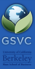 Haas GSVC.png