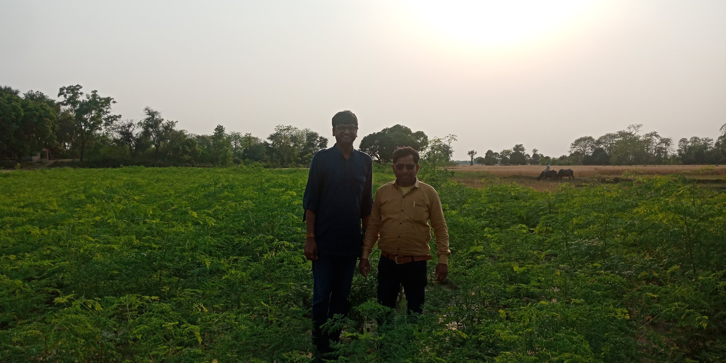 Bihar-Madhubani- Farmer.jpg