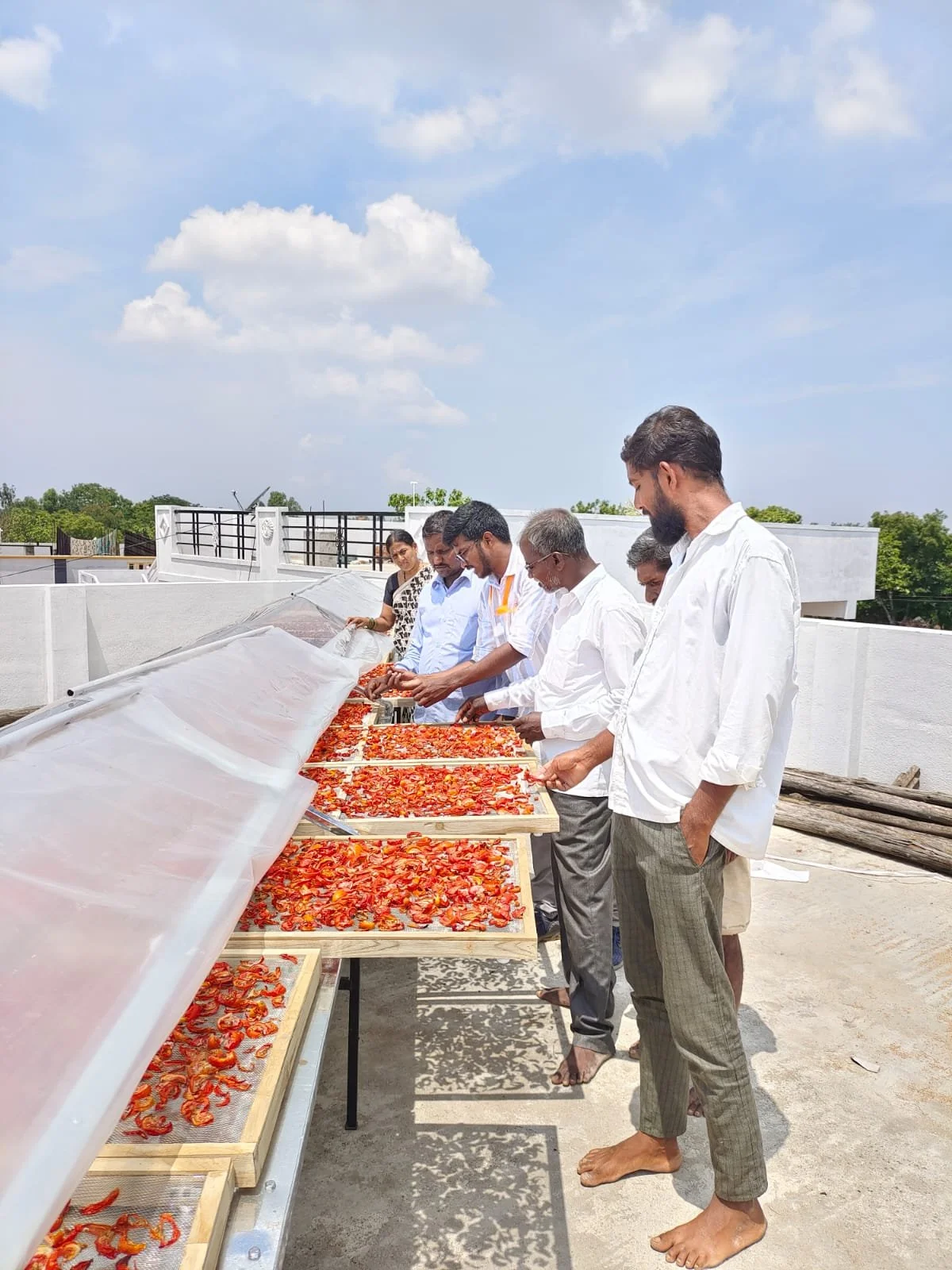 Raheja Solar A SolarPowered Solution to Food Waste — Upaya Social