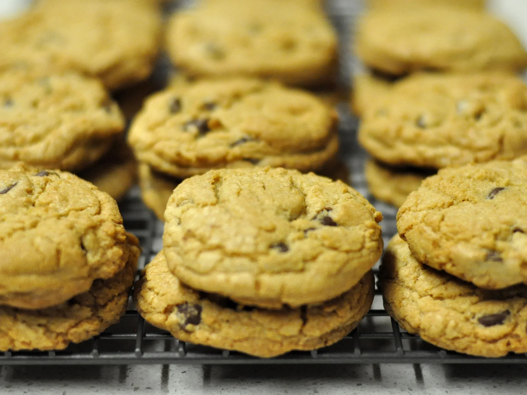 WWChocoCookies_v2.jpg