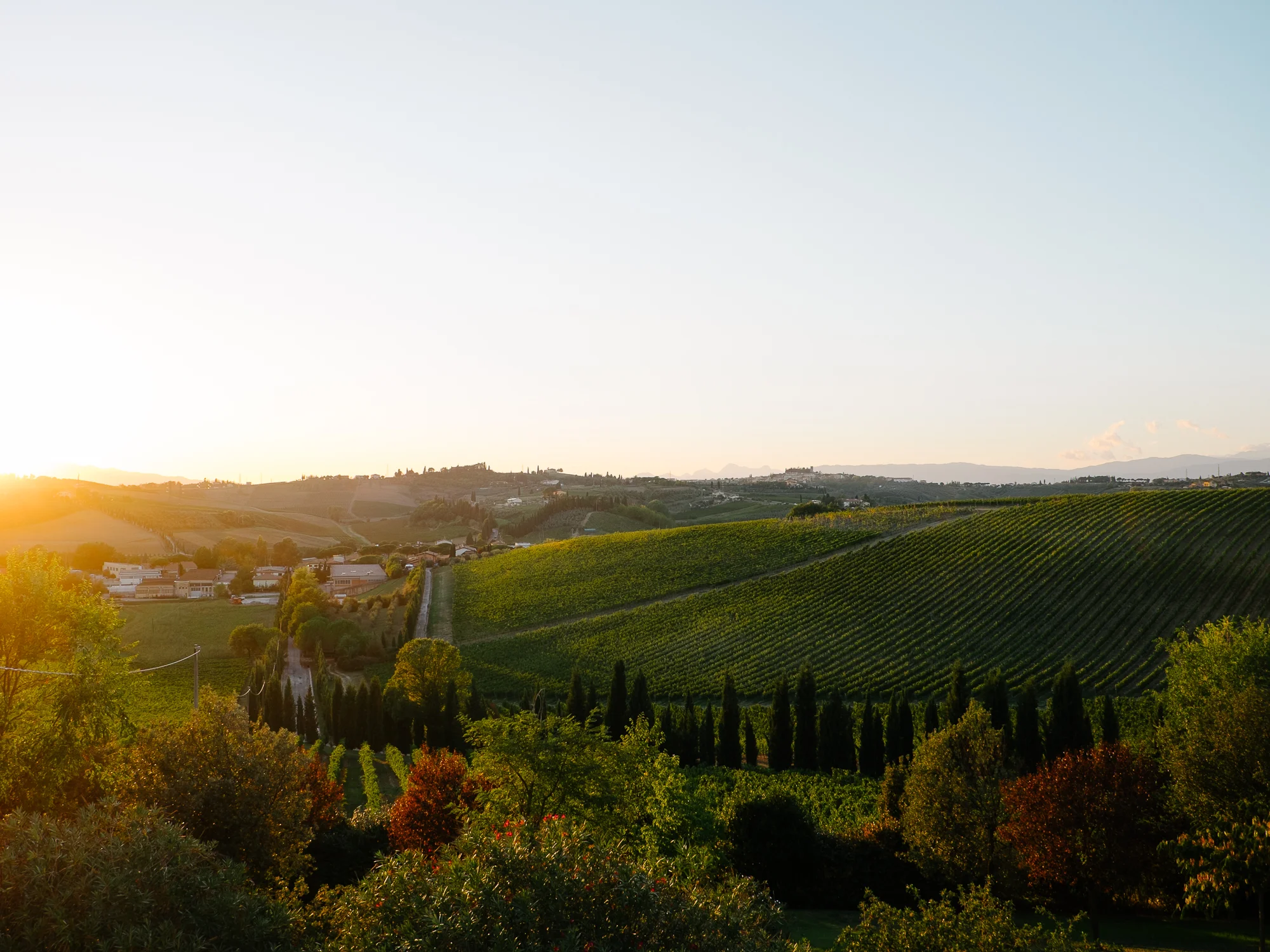 A Week in Tuscany with DaVinci Wine
