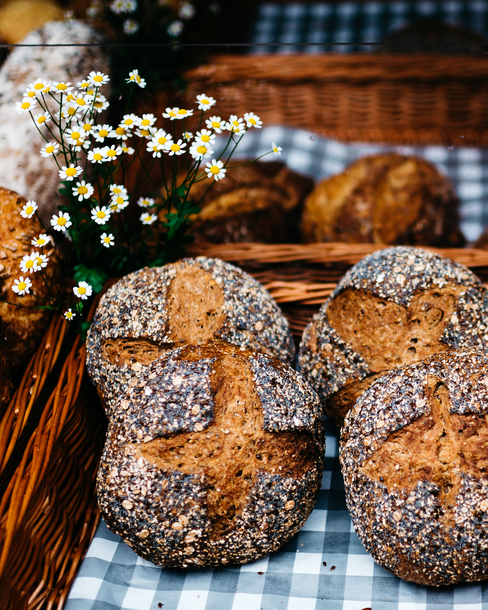 Fresh baked bread at Noorder Farmer's Market