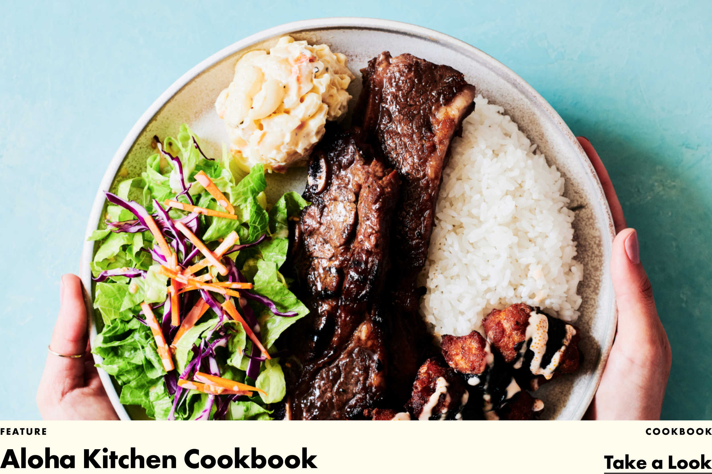 landing_header_alohakitchen3.png