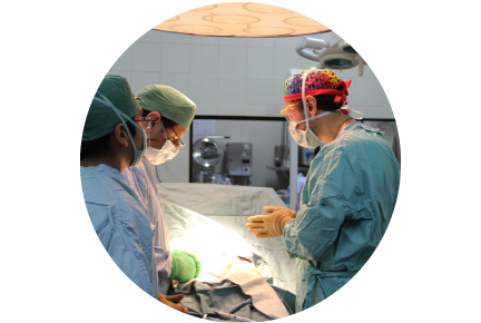 MSMT Patient - Gregoria
