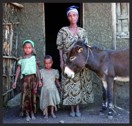 A woman in Ethiopia with her daughters and the donkey who provides their sole means of support.