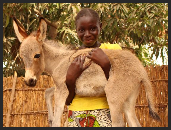 A little girl with her donkey foal in Senegal, a country of one million working equines in Western Africa, where the Brooke has been working since 2010.