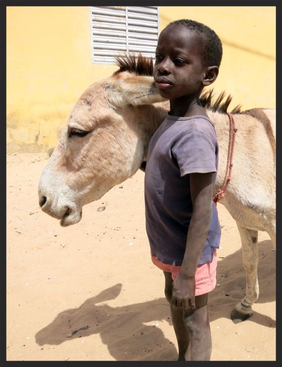 A boy and his donkey in Senegal