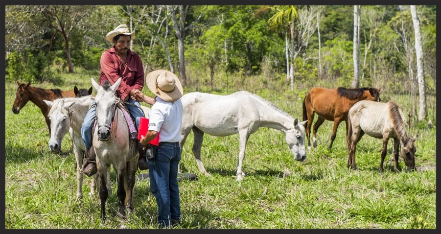 A Brooke veterinarian in Guatemala talks with an equine owner.