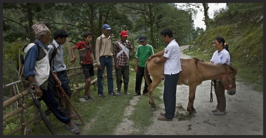 Brooke Nepal staff demonstrating sound equine welfare practices to a group of owners