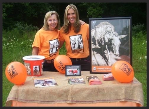 Volunteering to fundraise for Brooke USA is another great way to make a contribution that will help the animals in our programs.