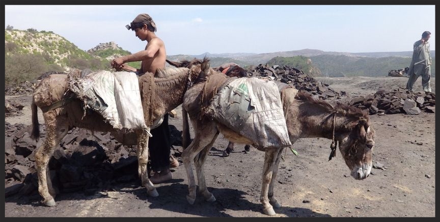 After they have carried their loads of rock and coal out of the mines and into the light, the donkeys are unloaded, then head back into the mines for more loads during 10-hour work days. But the lives of the animals who work in the shafts of coal mines in Pakistan will begin to see an improvement now that Brooke veterinarians will be visiting them regularly.