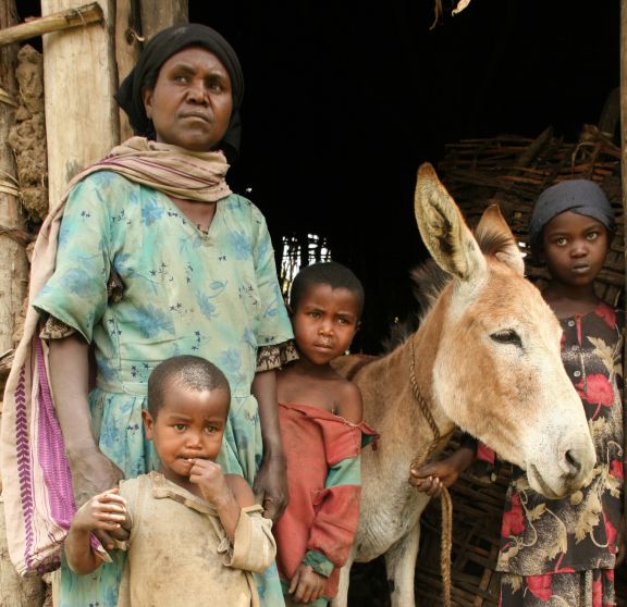 Families like this one in Ethiopia are often completely dependent upon their working equine to provide a livelihood.