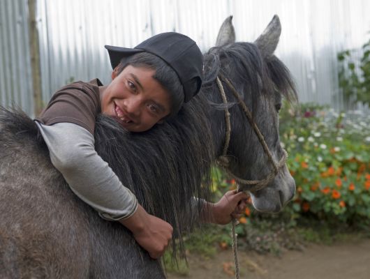 This is Gabriel and his mare, Golondrina, in Guatemala. Gabriel's family earns a living with Golondrina as she transports cauliflower and other produce. When she lost her appetite Gabriel's father contacted a Brooke veterinarian who discovered sores in her mouth caused by eating dry food. He recommended soaking the mare's food in water before giving it to her and the problem quickly cleared up.
