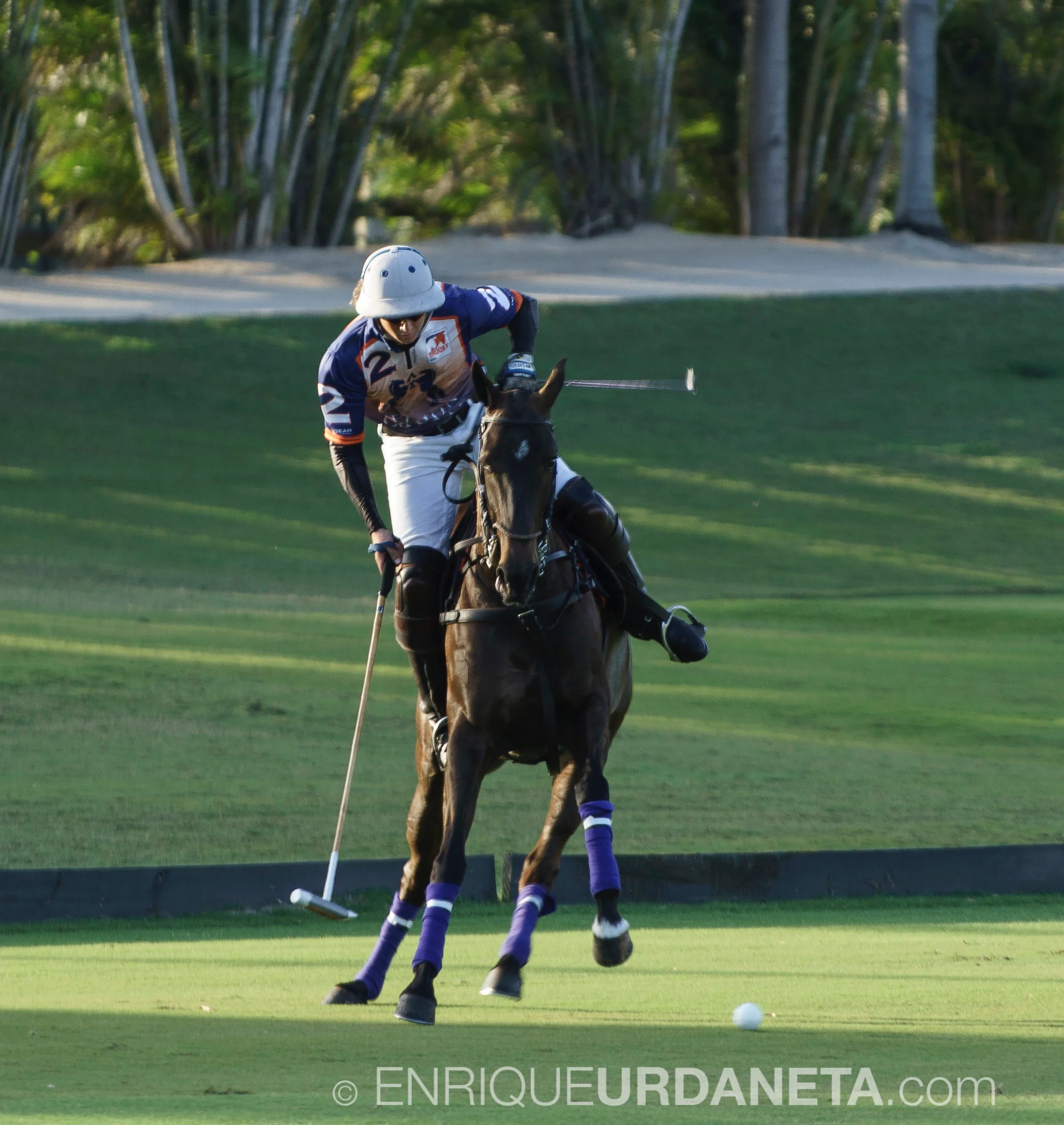 Sunset_Polo_by_Enrique_Urdaneta-20170324-31.jpg