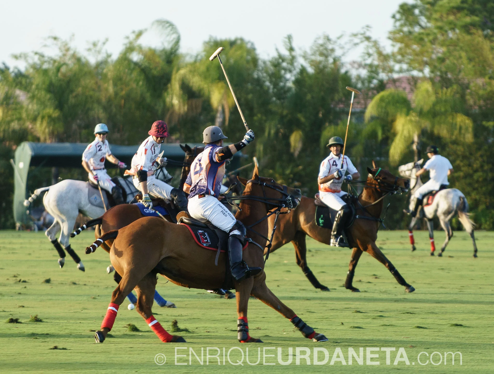 Sunset_Polo_by_Enrique_Urdaneta-20170324-54.jpg