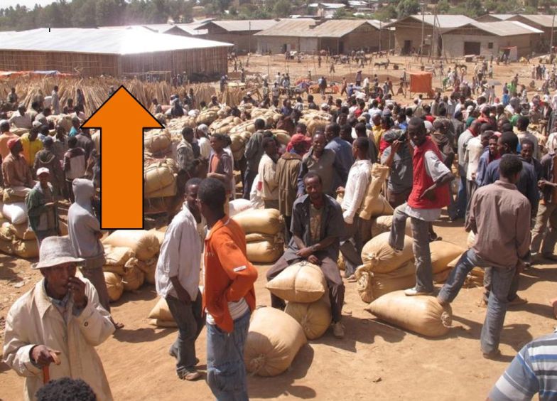 This is a previously constructed and very successful Brooke shade shelter in a busy market in Ethiopia.