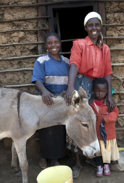 RS5400_Case Study 7_BrookeKenya2012_012hr-lpr.jpg