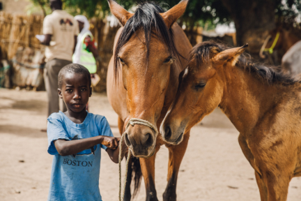 little boy with mare and foal in senegal small.png