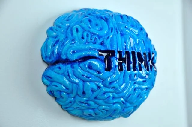 what-do-you-think-blue-side.jpg
