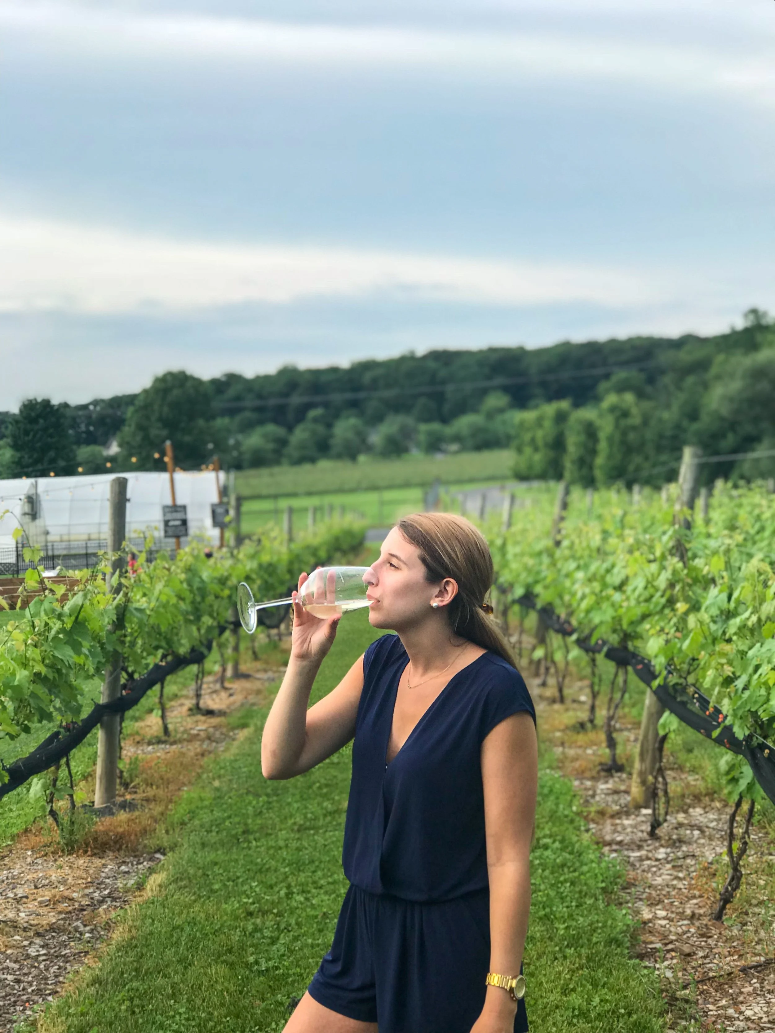 Beneduce Vineyard