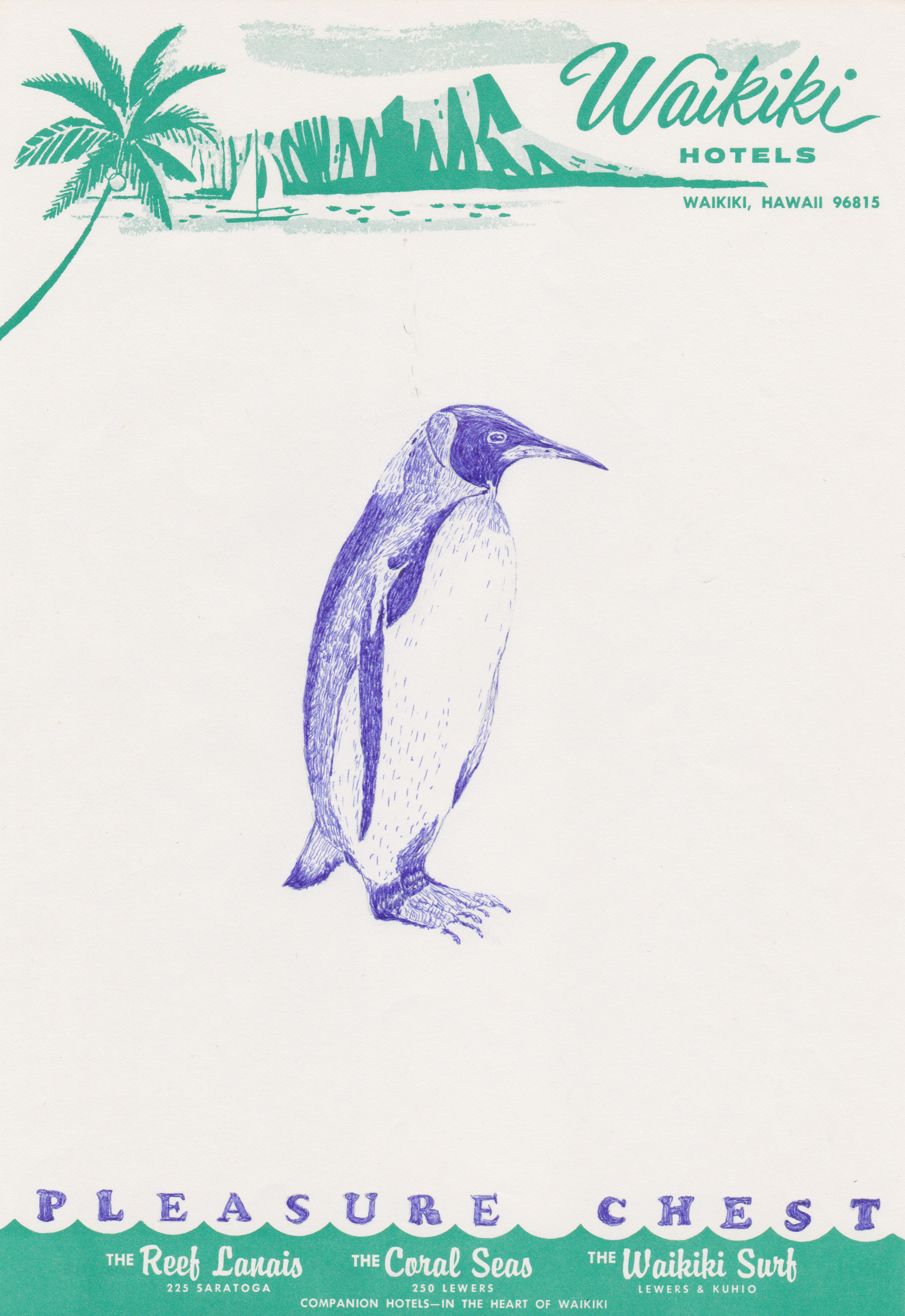 penguin crop.jpg