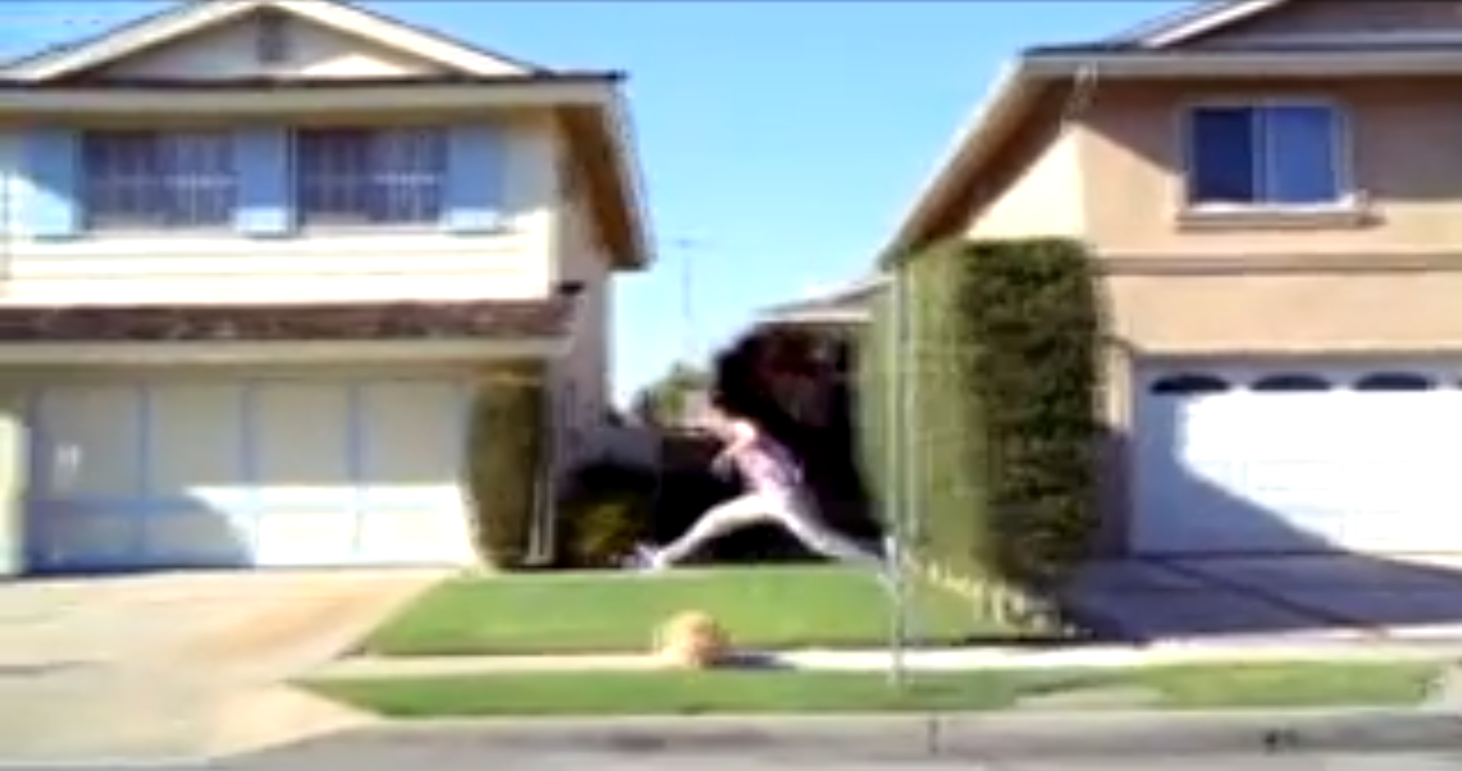 Hurdles