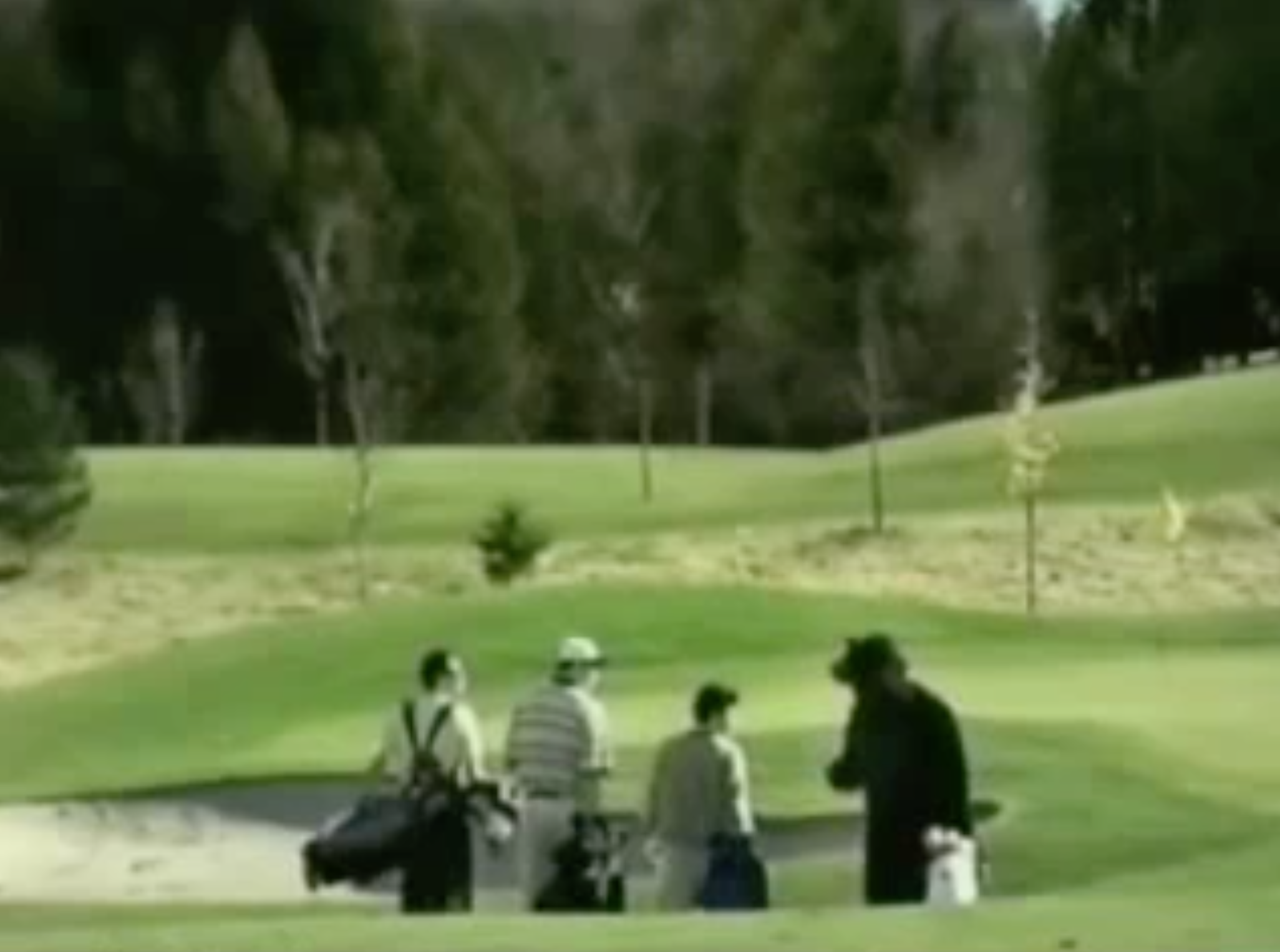 Labatt Blue USA Golf