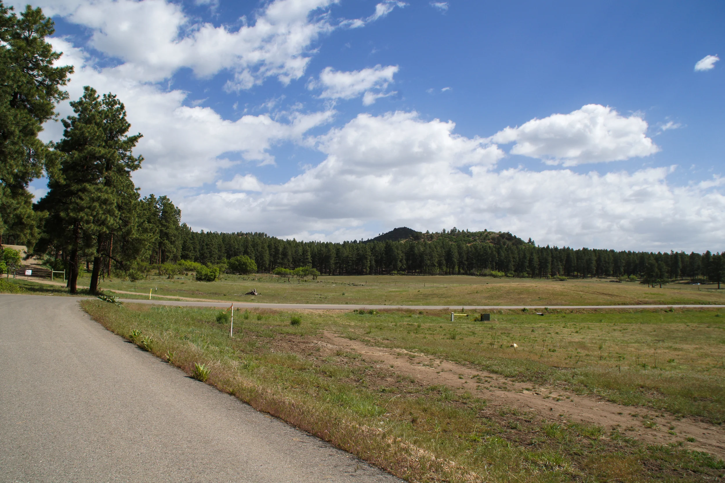 DSC02310.jpg