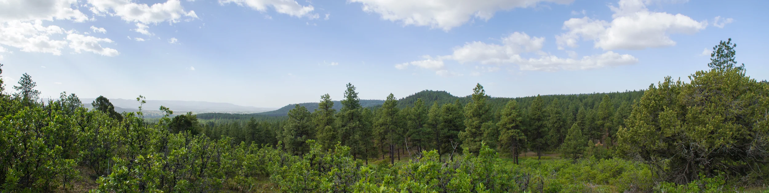 Pano - Eagles Ridge - 2117-23.jpg