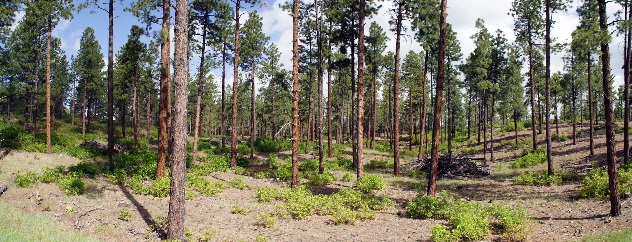 Pano - Eagles Ridge - 2220-22.jpg