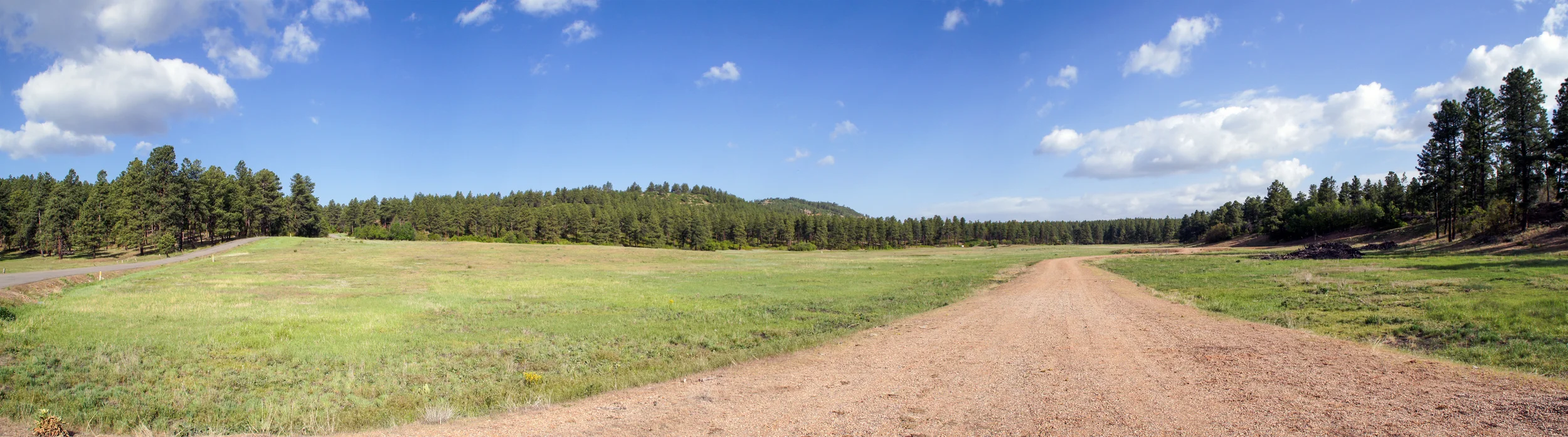 Pano - Eagles Ridge Meadow.jpg